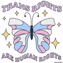 chiaralbart trans trans rights trans lives trans rights are human rights