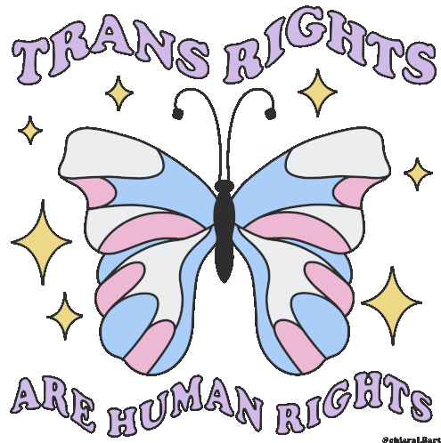 Chiaralbart Trans Sticker - Chiaralbart Trans Trans Rights Stickers