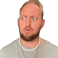 a man with a beard is wearing a grey shirt