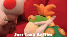 Sml Toad GIF - Sml Toad Just Look At Him GIFs