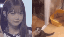 a woman is standing next to a cat and a cat is sitting next to a litter box .