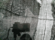 a reflection of a person walking in the water