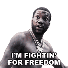 im fightin for freedom meek mill mandela freestyle song im fighting for liberty i stand up for freedom