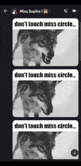 Dont Touch Miss Circle GIF - Dont Touch Miss Circle Fpe GIFs