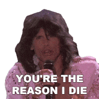 Youre The Reason I Die Steven Tyler Sticker - Youre The Reason I Die Steven Tyler Aerosmith Stickers