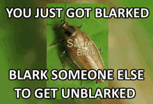 Blark GIF - Blark GIFs