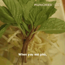 pho when you eat best way master chef basil
