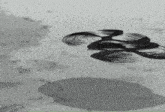 a black and white drawing of a bird flying over a body of water .