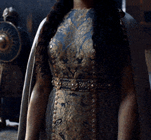 a woman wearing a cape and a dress with a shield on her back