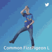 Fizzpigeon Ussclatr GIF - Fizzpigeon Ussclatr Truu GIFs