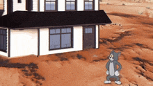 a cartoon of a cat standing in front of a white house