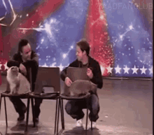 Ant And Dec Failed Talent GIF - Ant And Dec Failed Talent Walk Out GIFs