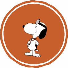 feel better snoopy peanuts get well soon take care