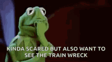 worried kermit kermit the frog muppets stressed