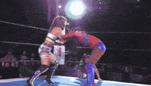 two wrestlers are in a ring with a banner that says toyon shop