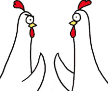 Chicken Chicken Bro GIF - Chicken Chicken Bro Bro GIFs