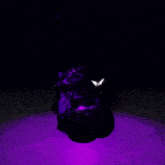 a black object is surrounded by purple lights and a white star
