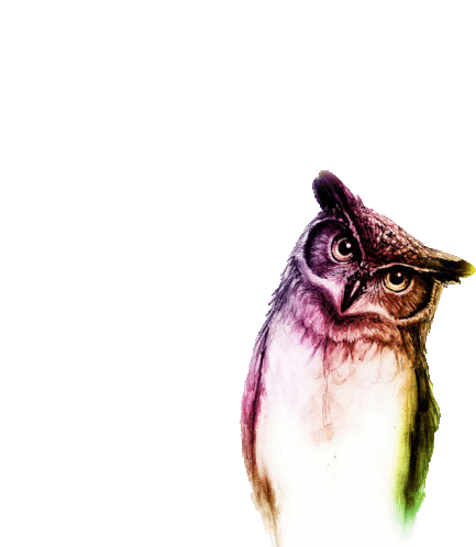 Owlet Owl Sticker - Owlet Owl Tilt Head Stickers