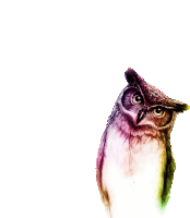 Owlet Owl Sticker - Owlet Owl Tilt Head Stickers