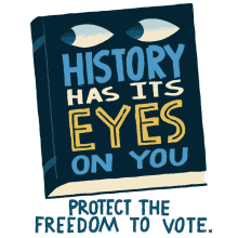 protect voting