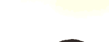 a black dog is standing on a white background .