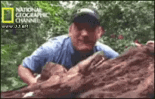 Snake Attack GIF - National Geographic Snake Bite GIFs