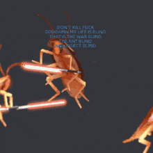 Fight Subtitles GIF - Fight Subtitles Cockroach GIFs