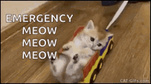 Emergency Meow Meow Meow Kitty GIF