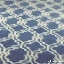 a close up of a blue and white rug with a pattern on it .