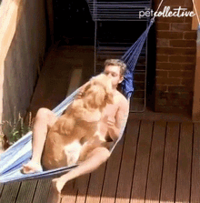 chilling the pet collective having fun bonding hammock