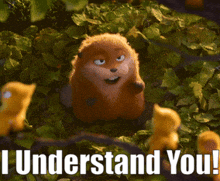 a picture of a beaver with the words i understand you