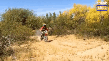 Dirt Bike Off Road GIF - Dirt Bike Off Road Motorcycle GIFs
