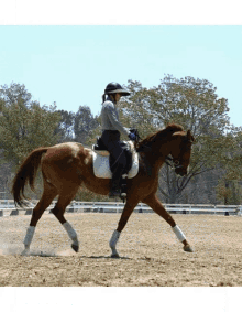 los angeles dressage trainers