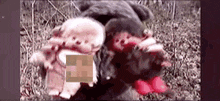 a dog is holding a stuffed animal in its mouth in a field .