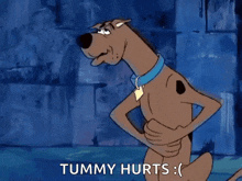 Scoobydoo Sick GIF - Scoobydoo Sick Tummyache GIFs