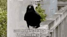 Cold Ones Discord GIF - Cold Ones Discord GIFs
