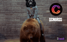 a man in a suit is riding on the back of a bear with a logo for scngrss in the background