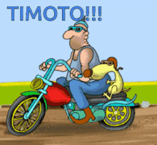 Timoto Timothe GIF - Timoto Moto Timothe GIFs