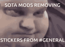 Sota Discord Mods GIF - Sota Discord Mods Sota Moderators GIFs