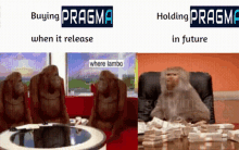 pragma ape pragma money pragma pragma meme