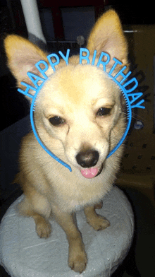 Happy Birthday Headband GIF