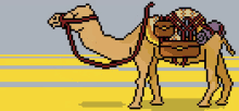 Standing Camel GIF - Standing Camel GIFs
