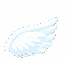 wing wings
