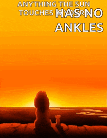 a poster for the lion king shows a sunset and says anything the sun touches hasr no ankles