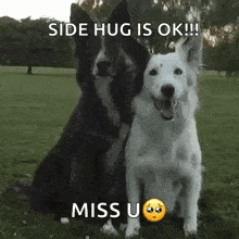 Dog Hug GIF