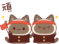 Shamu Cat Sticker - Shamu Cat Sticker Stickers