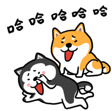 二哈萌柴微信表情 Husky And Shiba Sticker - 二哈萌柴微信表情 Husky And Shiba Laugh Stickers