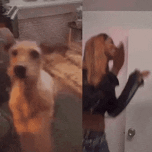 a dog and a woman standing next to each other in a room