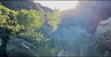 Dive Carson Lueders GIF