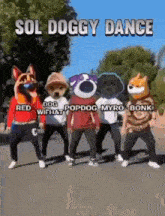 Popdog Popdog Meme GIF